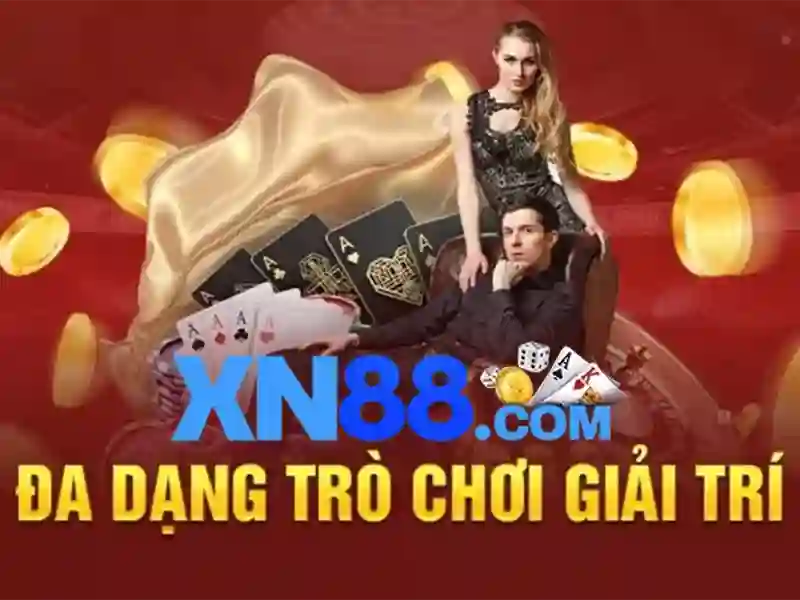 Trải nghiệm người dùng và phản hồi cộng đồng