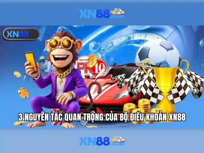 Trải nghiệm người dùng và giao diện