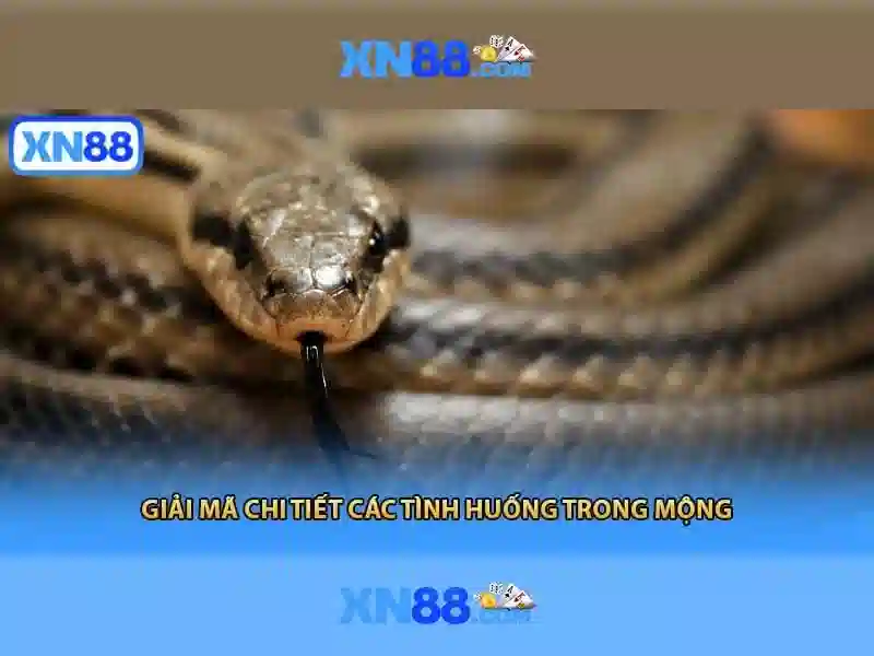 xn88 có lừa đảo không — phân tích chi tiết và trải nghiệm người dùng Giao diện nhà cái hoàn hảo