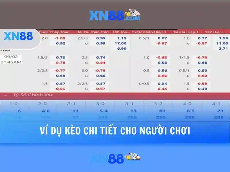 Xn88: Tổng quan và hướng dẫn sử dụng