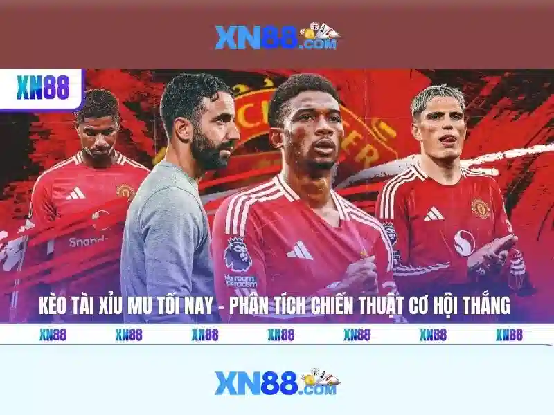 Làm sao xn88 hoạt động