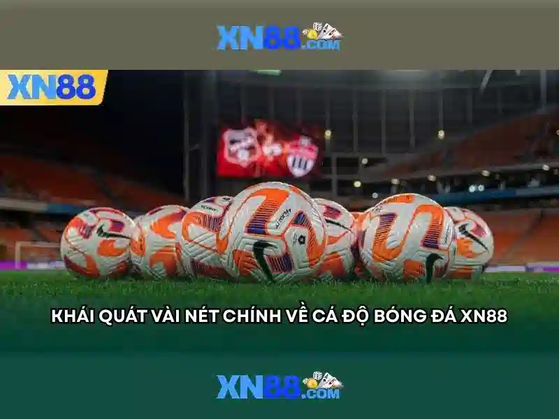 Biểu mẫu điền thông tin đăng nhập trên ứng dụng XN88 Biểu mẫu điền thông tin đăng nhập trên ứng dụng XN88