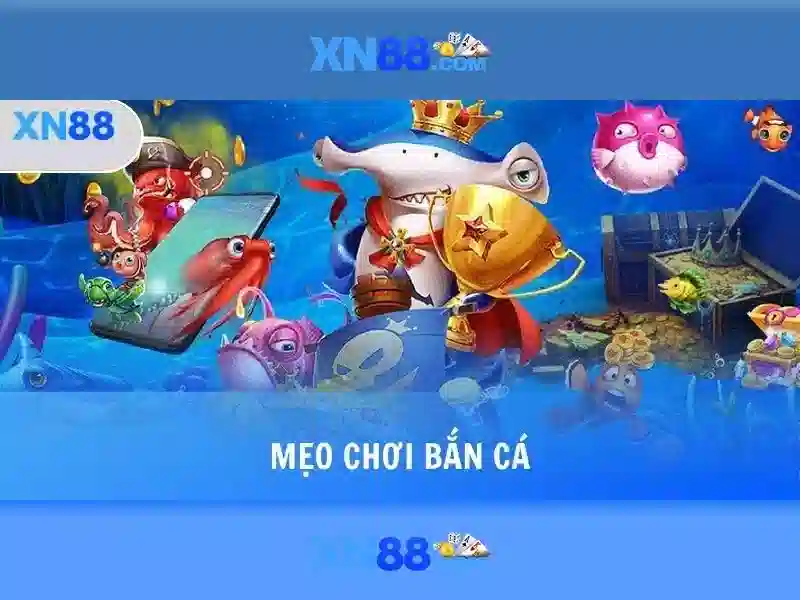 Tổng quan về xn88