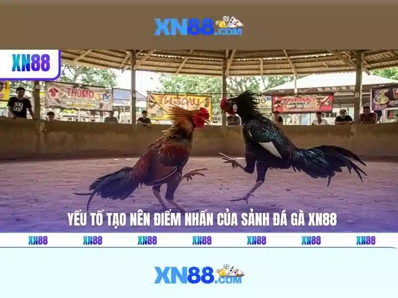 Tính năng nổi bật của xn88