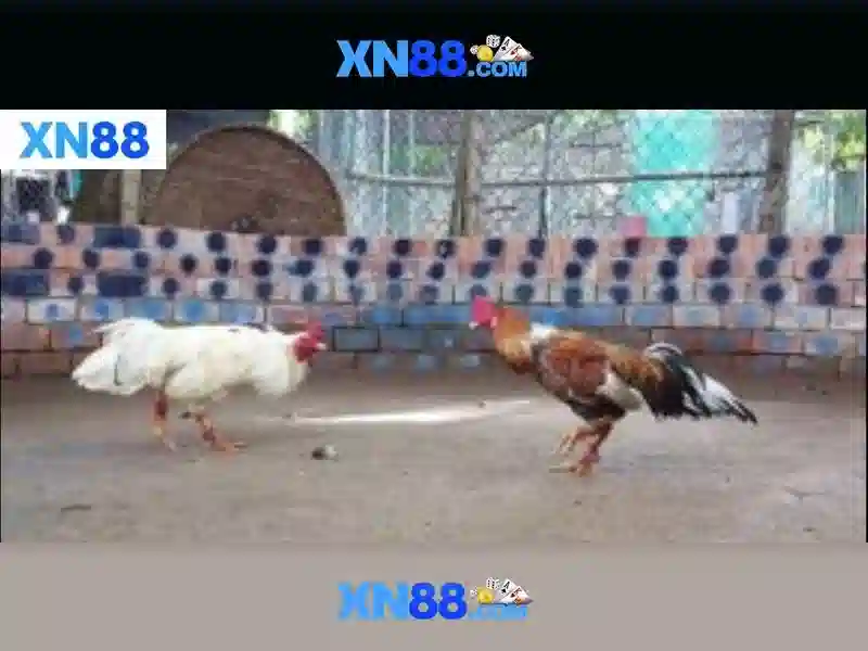 Giao diện nhà cái hoàn hảo