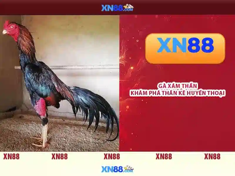 Giao diện nhà cái hoàn hảo