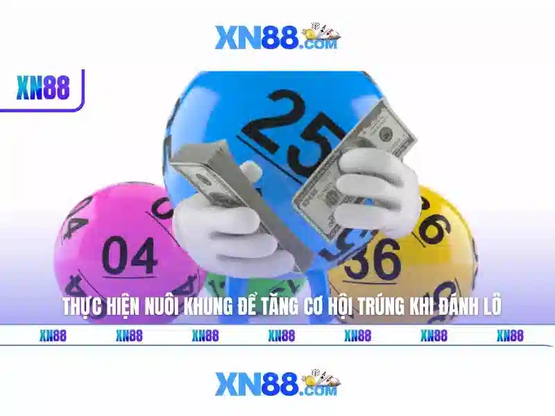 Xn88 là gì?