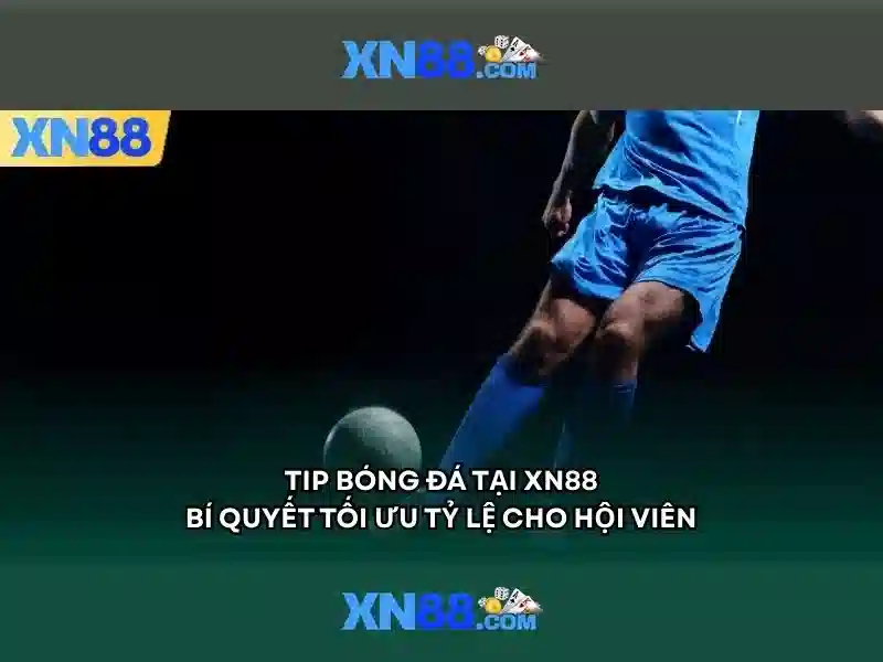 Lịch sử và nguồn gốc