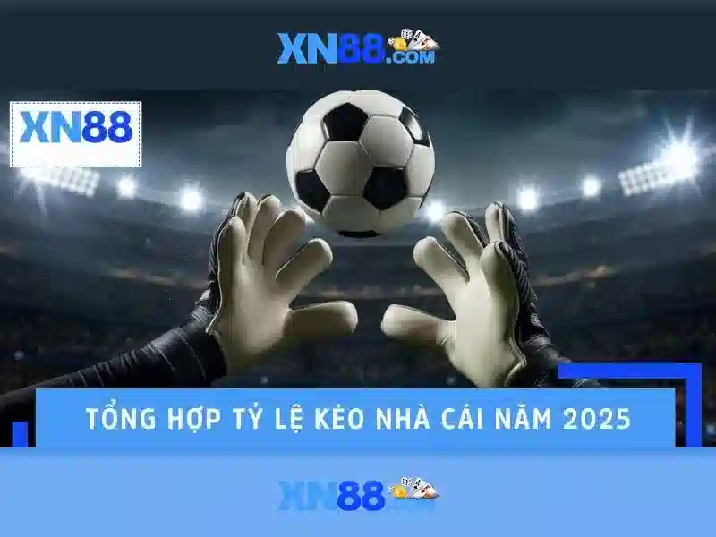 Giới thiệu về xn88