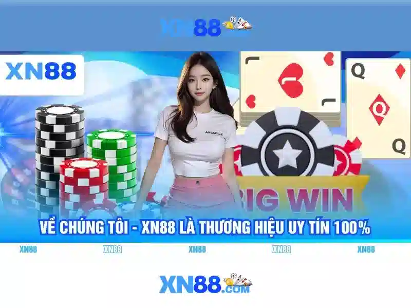 An toàn và hỗ trợ người dùng