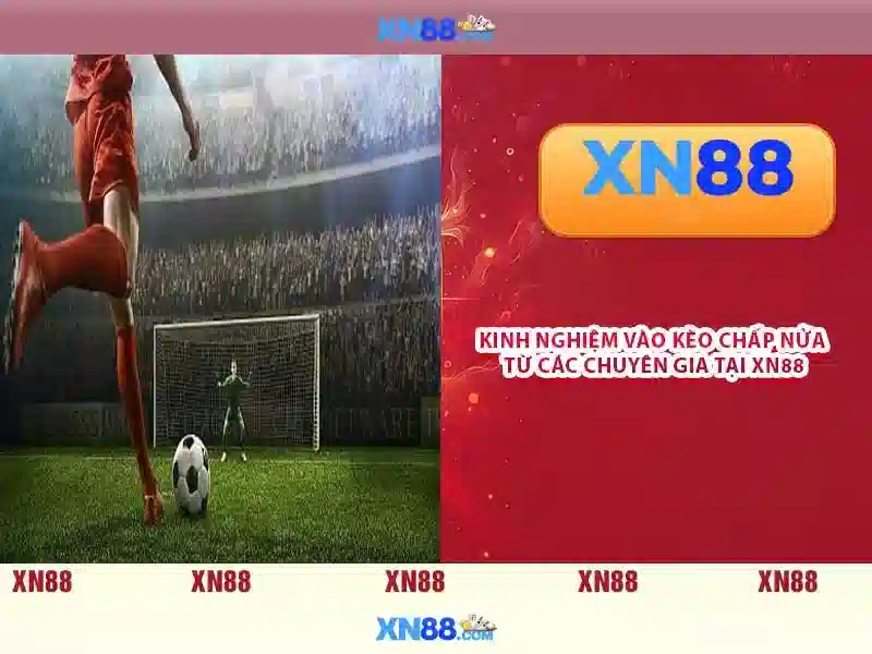 xn88 là gì và những điều cần biết