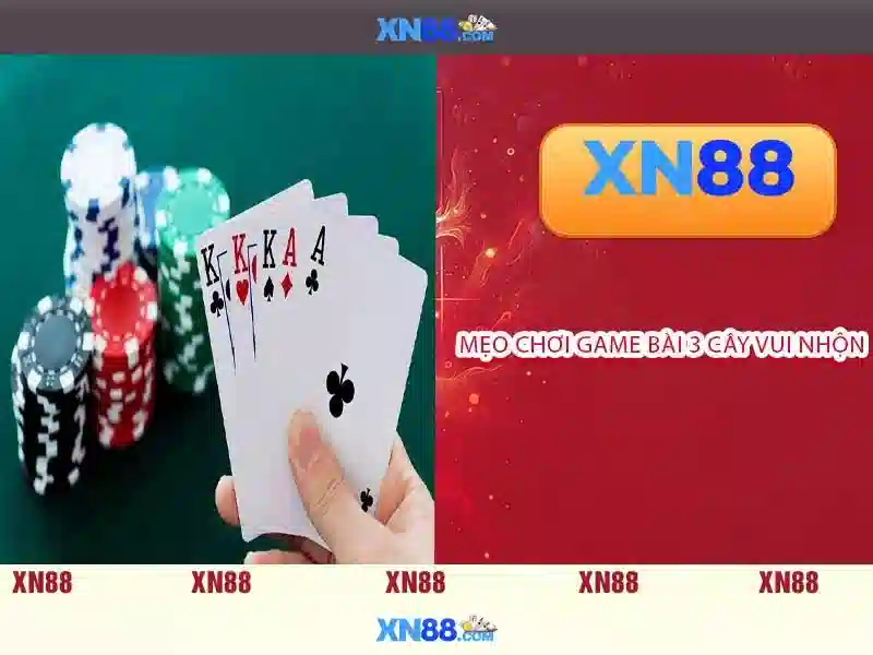 Nền tảng và dịch vụ