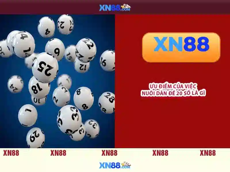 Xn88: Nền tảng trò chơi trực tuyến và những điều bạn cần biết