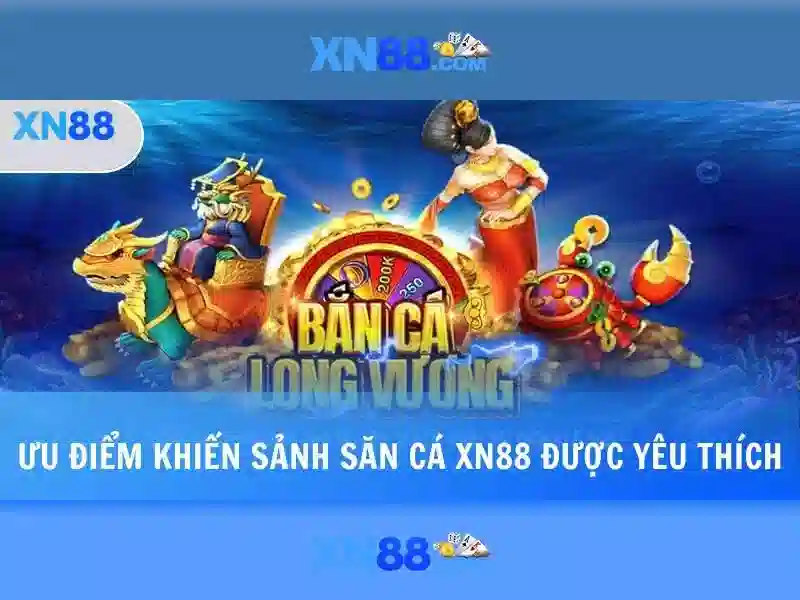 Giới thiệu về xn88