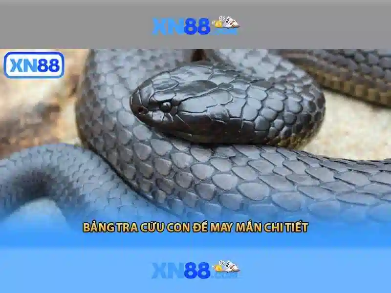messenger hỗ trợ xn88 – Tổng quan chủ đề và giá trị cốt lõi-