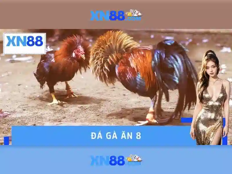 Giao diện nhà cái hoàn hảo