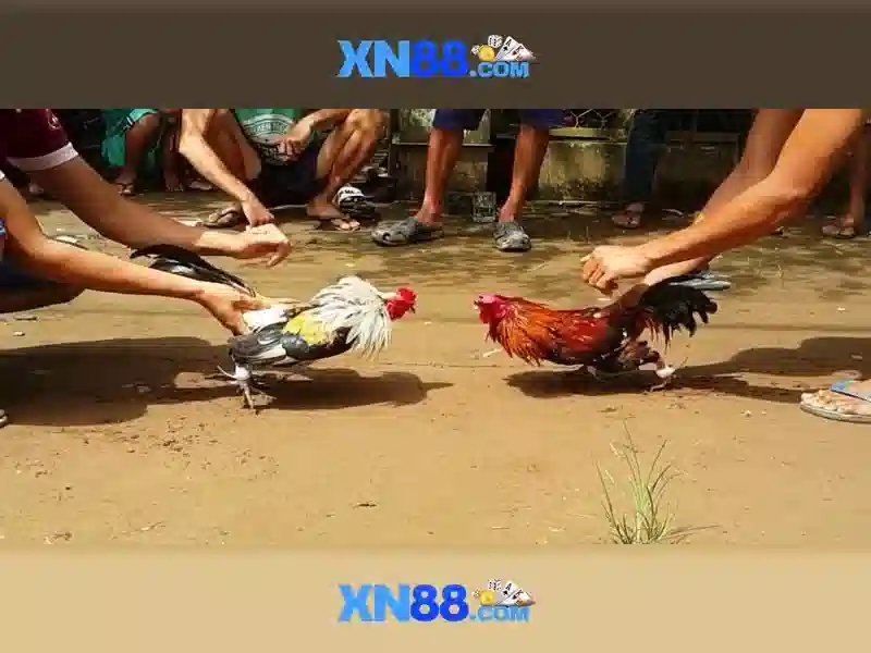 Giao diện nhà cái hoàn hảo