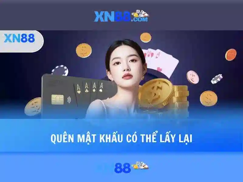 Giới thiệu về xn88