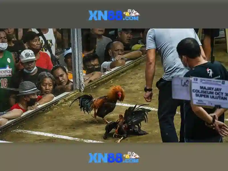 https://nx88.uk.com/images/text/xn88/xn88-text2603121988.webp Tong quan gem xn88