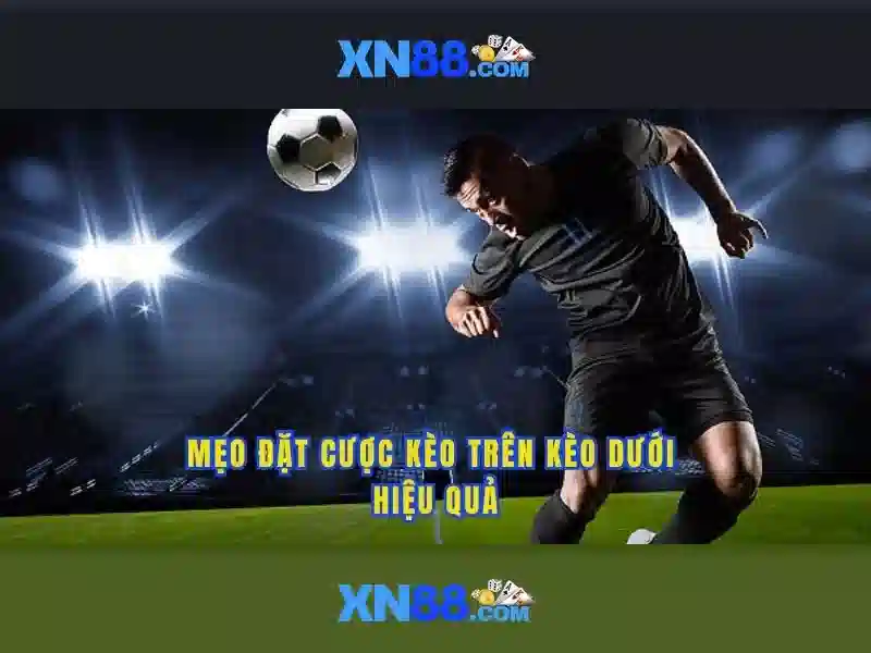 Tương lai và tầm nhìn