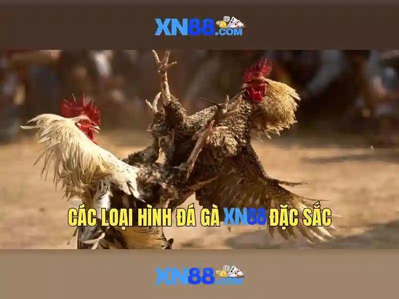 https://nx88.uk.com/images/text/xn88/xn88-text2603302087.webp xn88 app.com – Tổng quan chủ đề và giá trị cốt lõi