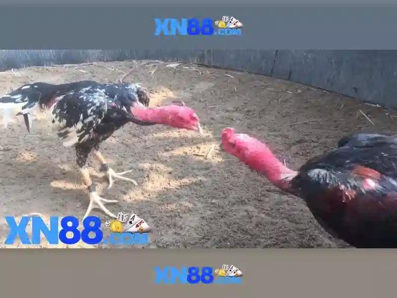 An toàn và bảo mật