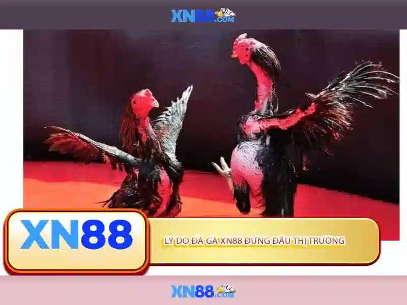 Hệ thống và trò chơi có mặt tại xn88