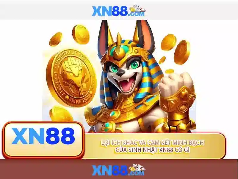 Góc nhìn toàn diện về xn88: nền tảng trò chơi trực tuyến