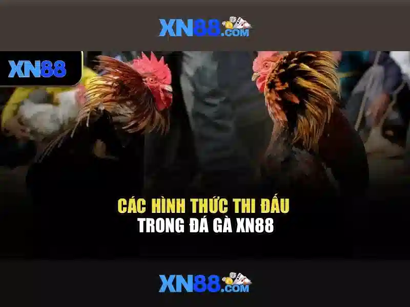 https://nx88.uk.com/images/text/xn88/xn88-text2603301883.webp \