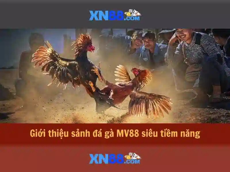 Trải nghiệm người dùng và phản hồi cộng đồng