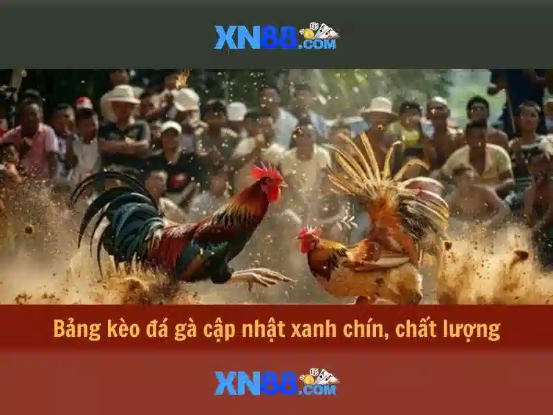 xn88: Khám phá nền tảng giải trí trực tuyến hàng đầu