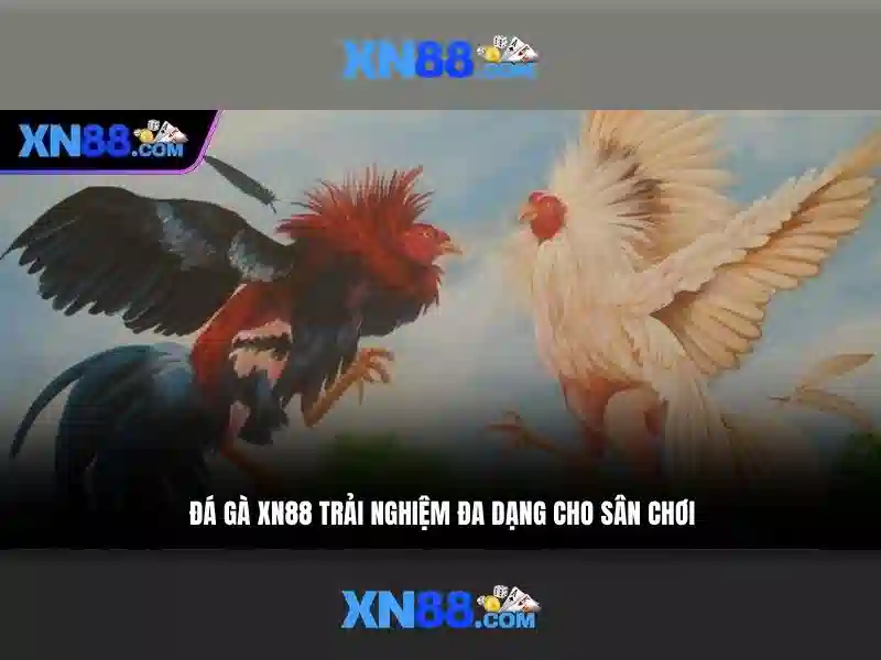 Giới thiệu về xn88