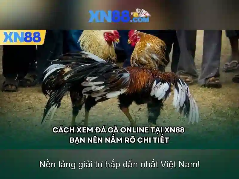 Các trò chơi và trải nghiệm