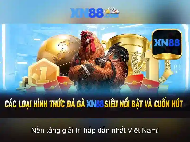 xn88: Nền tảng giải trí và công nghệ số Giao diện nhà cái hoàn hảo