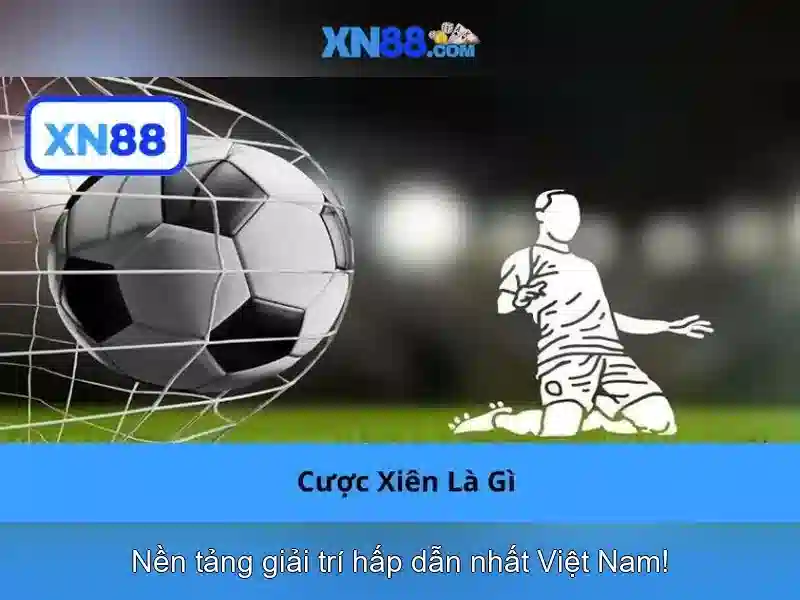 Các tính năng chính của xn88