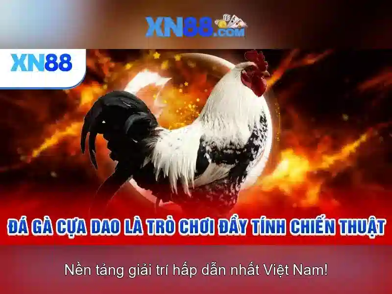 xn88: Nền tảng giải trí trực tuyến – Giới thiệu và hướng dẫn Giao diện nhà cái hoàn hảo