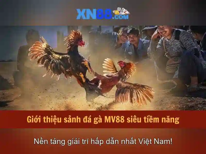 https://nx88.uk.com/images/text/xn88/xn88-text2603301681.webp Trò chơi và dịch vụ