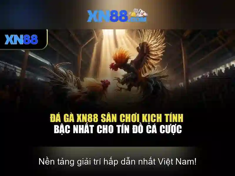 https://nx88.uk.com/images/text/xn88/xn88-text2603311971.webp Lịch sử hình thành và phát triển của xn88