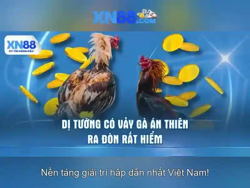 Khám phá xn88 và những gì nó mang lại