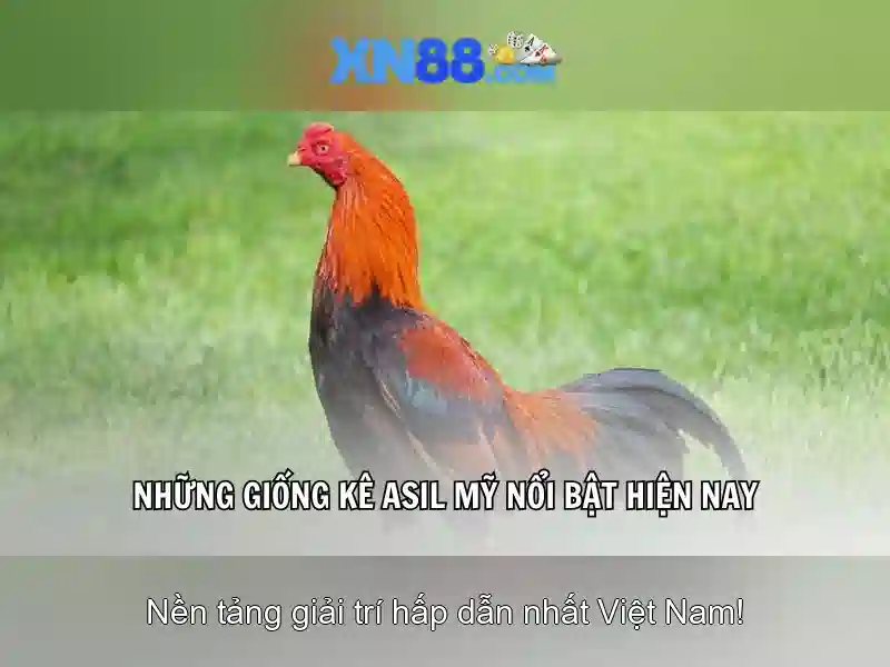 giao-dien giao-dien