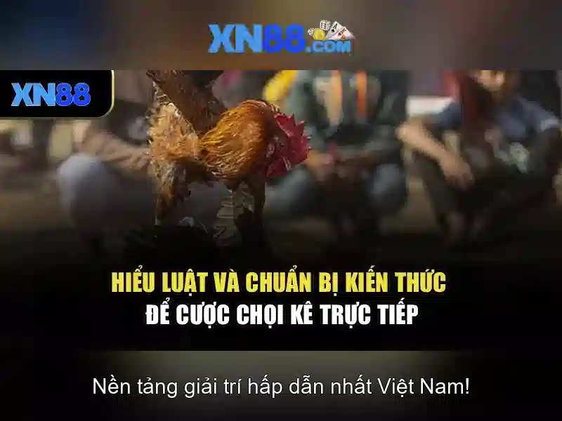 Giao diện nhà cái hoàn hảo