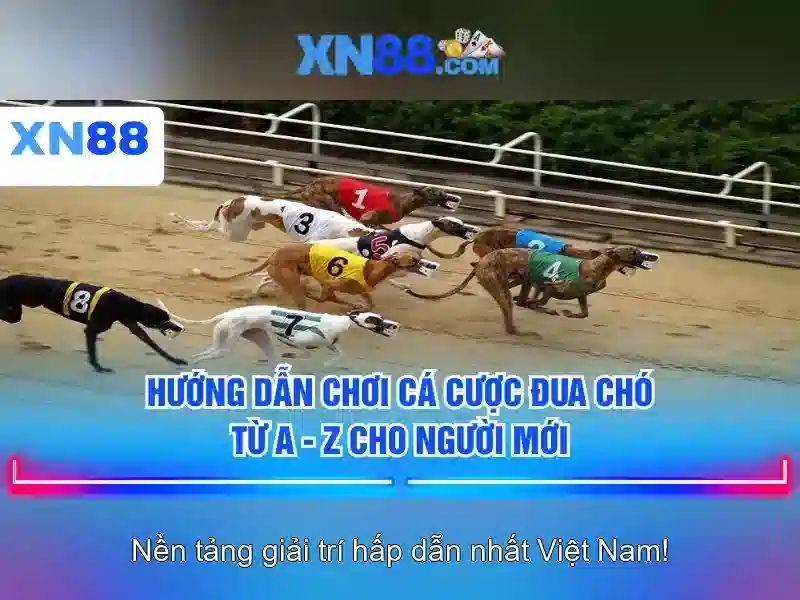 Khám phá xn88: nền tảng giải trí trực tuyến hàng đầu