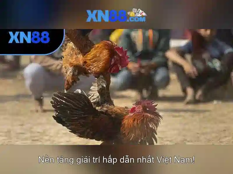 An toàn và trách nhiệm khi chơi