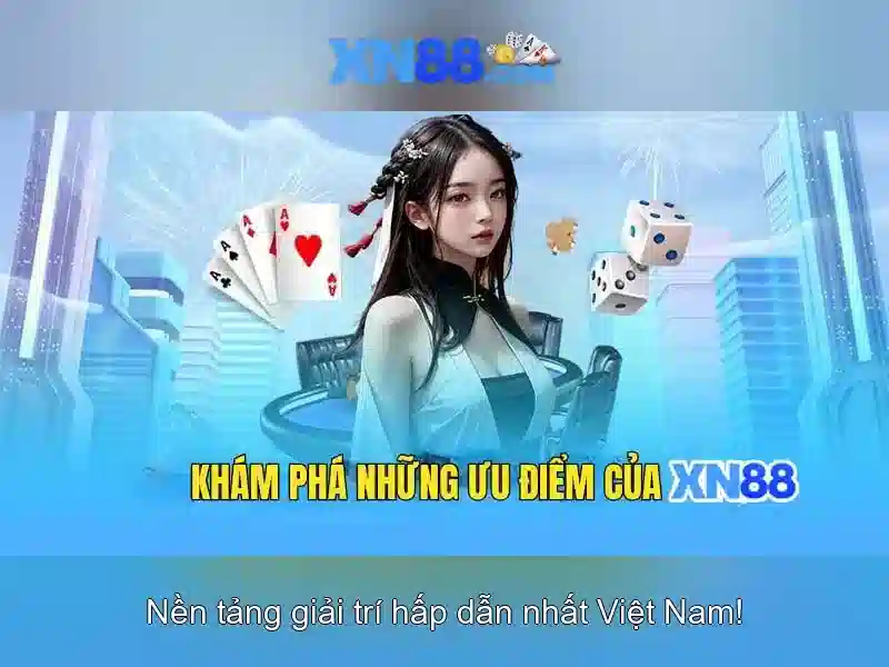 Hỗ trợ người dùng và dịch vụ khách hàng