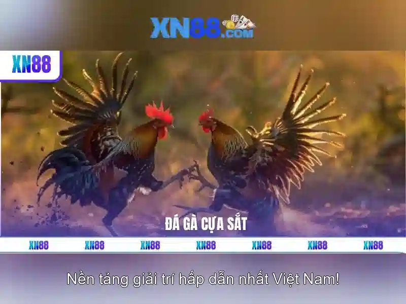 https://nx88.uk.com/images/text/xn88/xn88-text533.webp Giới thiệu về xn88