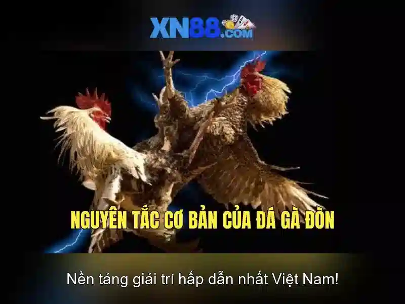xn88-home xn88-home