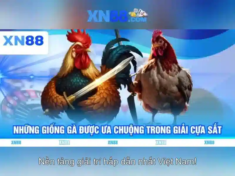 Giao diện nhà cái hoàn hảo