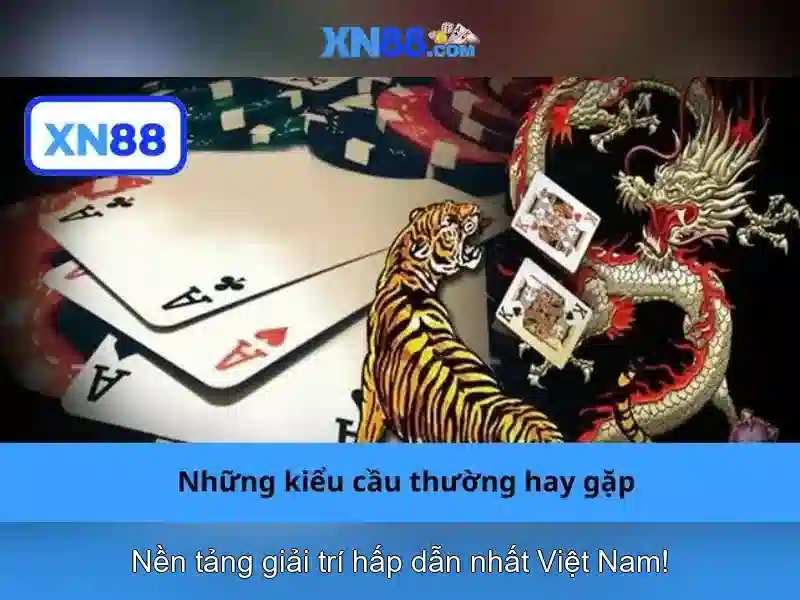 Giới thiệu về xn88