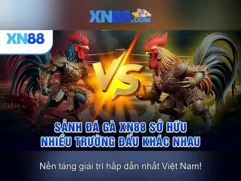 https://nx88.uk.com/images/text/xn88/xn88-text2603312236.webp Phat trien va cay nang cua Xn88