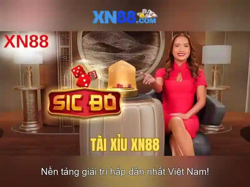 Trải nghiệm người dùng và phản hồi cộng đồng